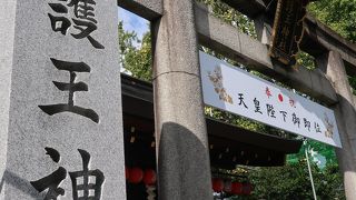 境内のいたるところにイノシシが！