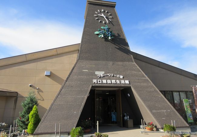 河口湖自然生活館 クチコミ アクセス 営業時間 富士五湖 フォートラベル