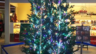 可愛いクリスマス