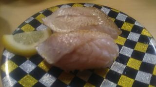 佐渡島の魚