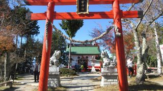 緑と白と赤の拝殿です