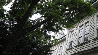 広くて開放感のあるキャンパス