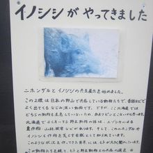 スタッフの方の手書きの案内板にも愛情を感じますね。