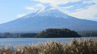 ボートがありました