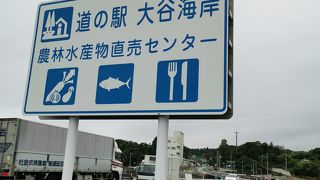 道の駅 大谷海岸