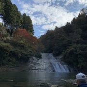 紅葉が綺麗