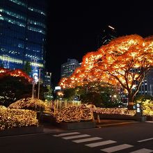 ロッテ ホテル ソウル　イルミネーション