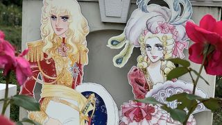 色とりどりのバラ