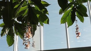 コンパクトで見やすいです