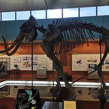 釧路市立博物館 