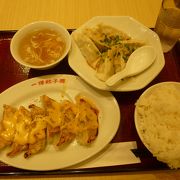 様々な種類の餃子がありました。