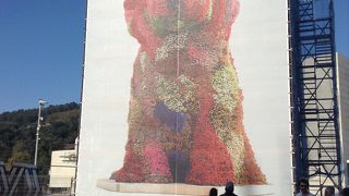 楽しみにしてましたが・・。