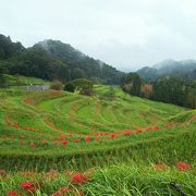 連なる棚田