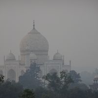 10倍以上拡大してますが、全景が見えました。