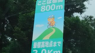 別子 翠波はな街道