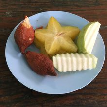 サラ、スターフルーツ、グァバ