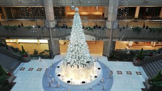 今年のクリスマスツリー　ランドマークプラザ
