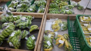 季節のフルーツが安い