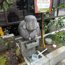 花壇の中。