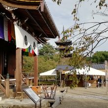 観音堂から望む五重塔です