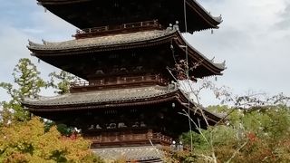 御殿、観音堂特別内拝、霊宝館と3時間近く仁和寺を満喫しました