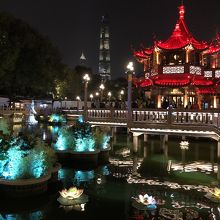 水面に反射した夜景がとても綺麗でした。