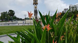 花が咲く穏やかな散歩道