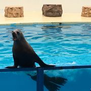 こじんまりとした水族館