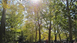 木々は色付き始めています