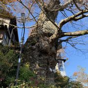 霊山にふさわしい