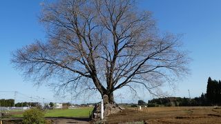 なかなか行くのが難しい。