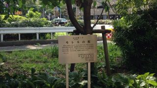 鉄道発祥記念碑の近く