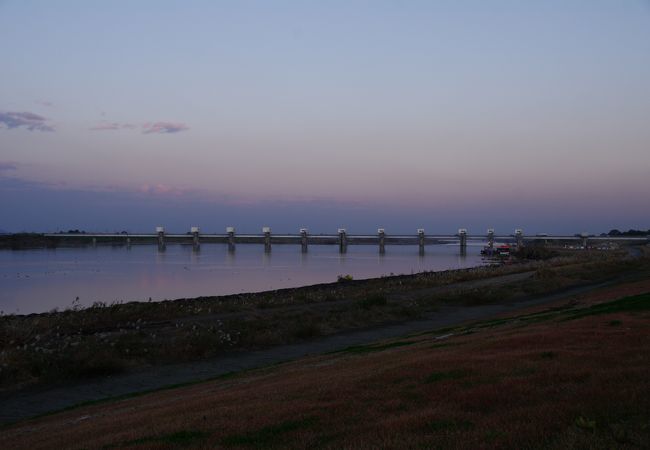 利根大堰