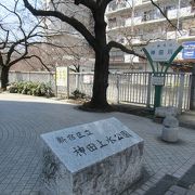 神田川沿い