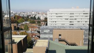 母校ではないですが・・・