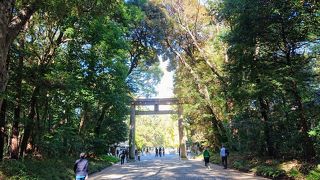 秋の明治神宮は爽やかです