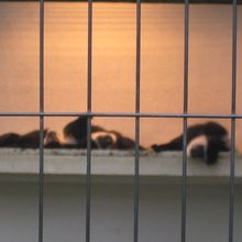 寒くて動けないよう～、という声が聞こえてきそうです…。