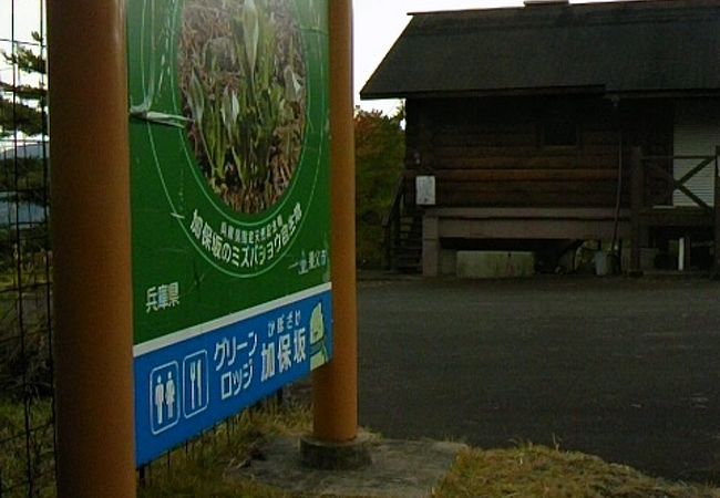 ミズバショウ公園