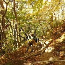 まだ急登りが続く