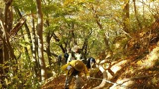 紅葉を見に月居山に登りました