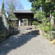 牡丹寺 ～ 境内の美しさは必見 ～