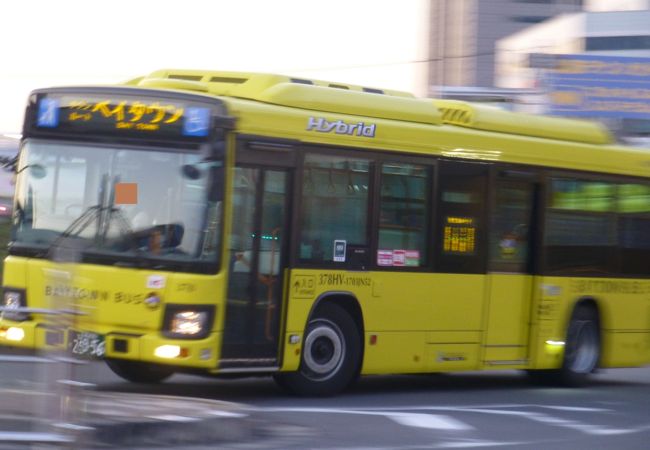 黄色一色の車体が特徴のバスでした。