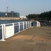 新港パーク内の様子