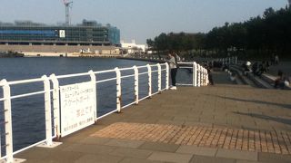 横浜みなとみらい万葉倶楽部裏の公園