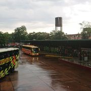 イグアスの滝や空港への往復の他、国内外の各地へ行くバスが発着しています。