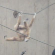 常に動いている子は撮影するタイミングも大変！