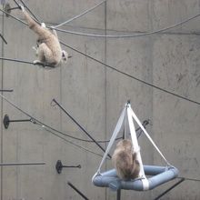 ジッとしている子もいましたけどね…(^^;)。