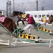 サラブレッドでは出せない重量級のばん馬による迫力レース