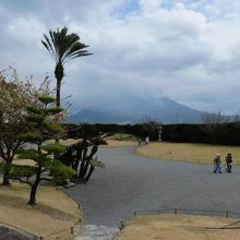 桜島の眺めがいいです。