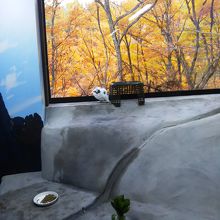 ニホンライチョウ